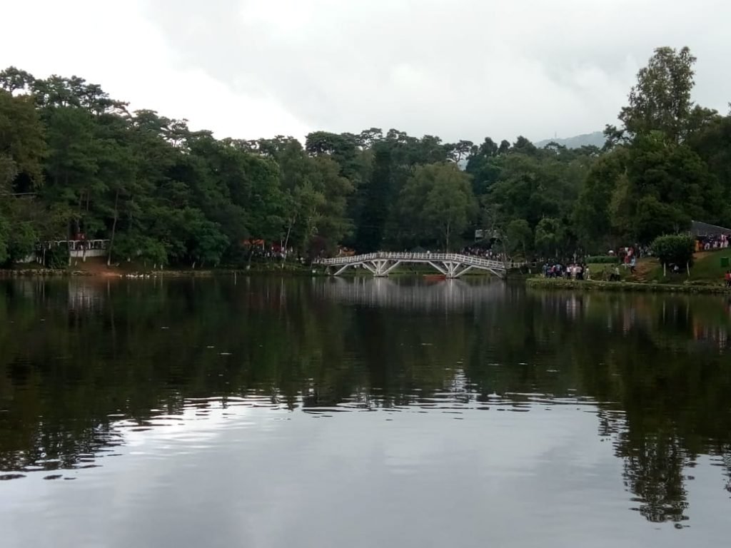 Ward's Lake