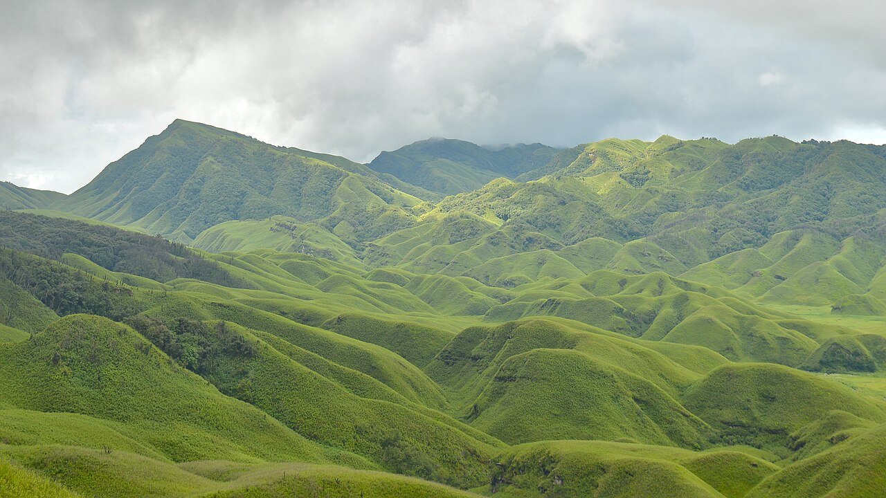 Dzükou Valley, Nagaland