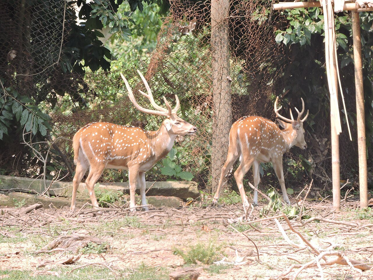 Sepahijala Sanctuary